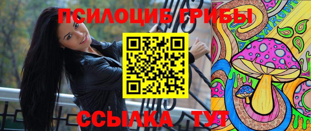 Лосино-Петровский  Псилоцибиновые грибы GOLDEN TEACHER  Псилоцибиновые грибы мицелий  Вход с VPN 